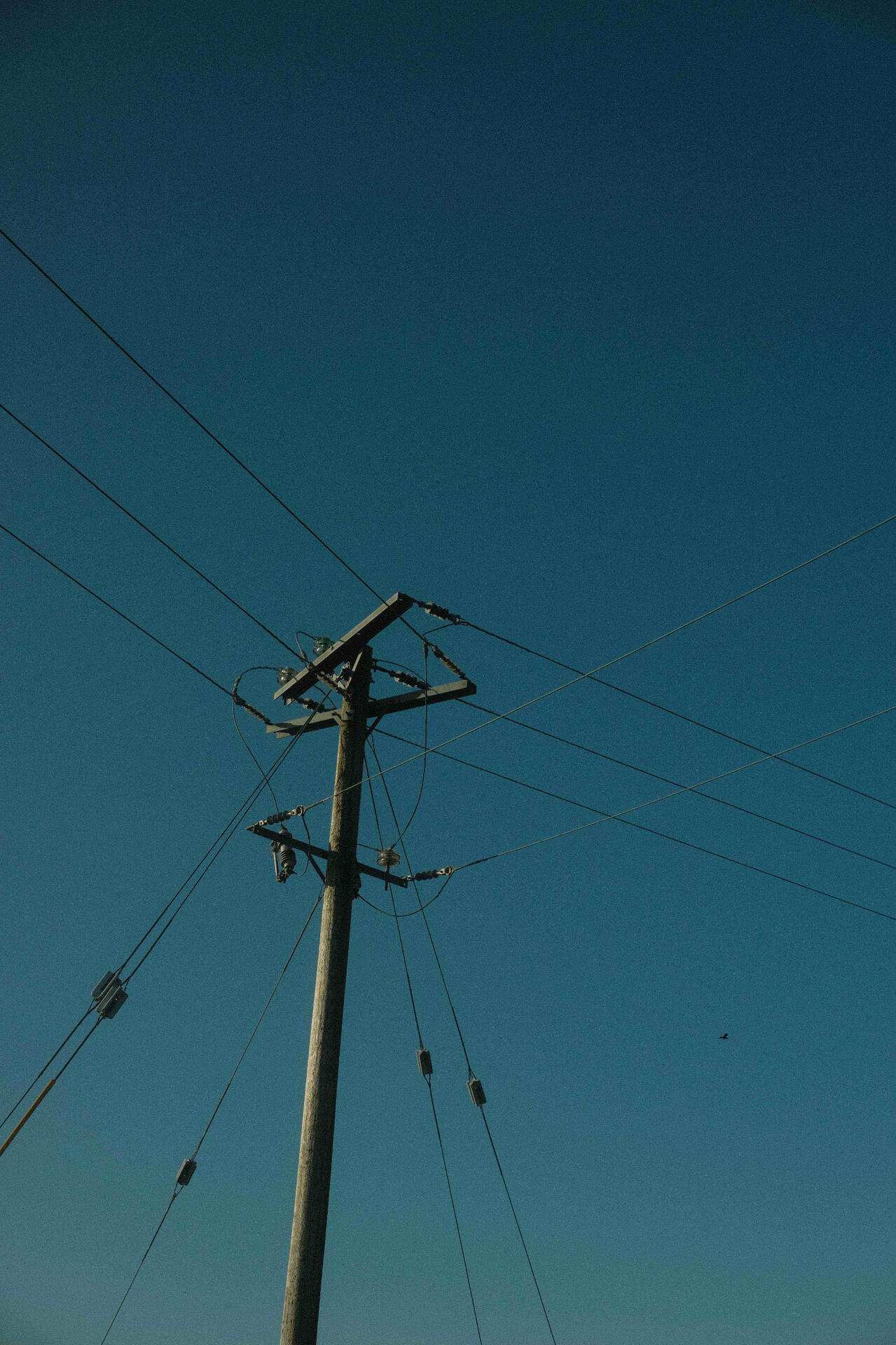 Walking Home